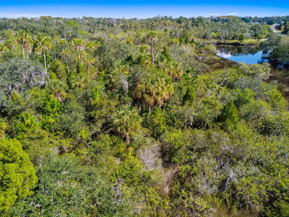 0 JAPONICA COURT New Port Richey, FL 34655