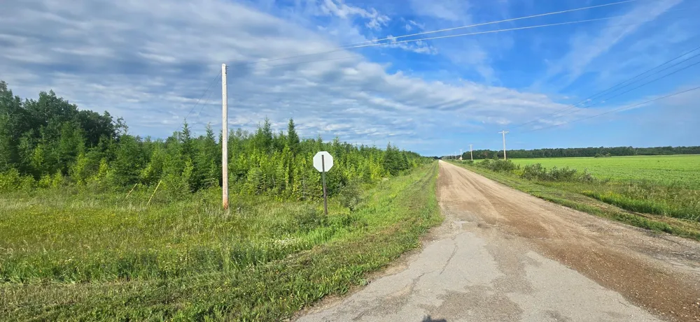 33949 County 17 Road Roosevelt, MN 56673