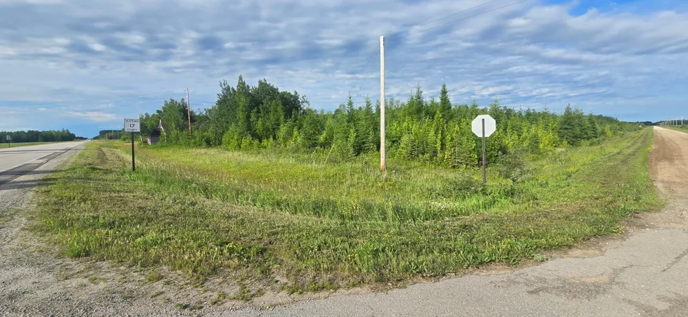 33949 County 17 Road Roosevelt, MN 56673