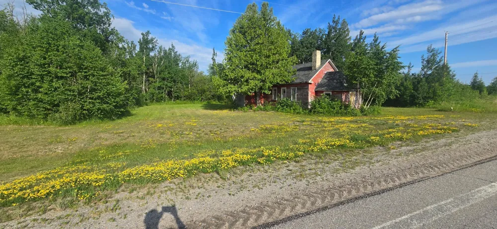 33949 County 17 Road Roosevelt, MN 56673