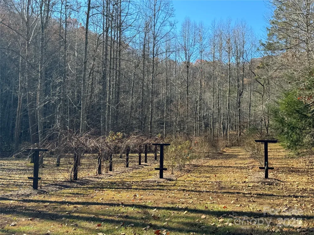 Site 5 Woodfen Lane Lake Lure, NC 28746