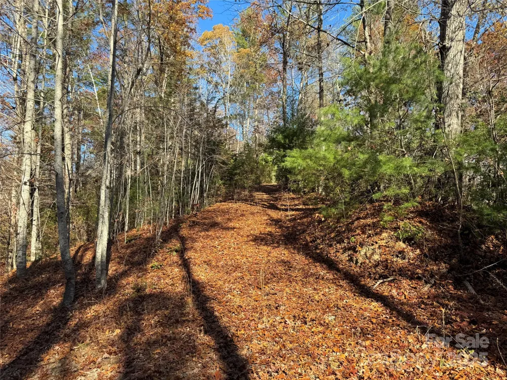 Site 5 Woodfen Lane Lake Lure, NC 28746