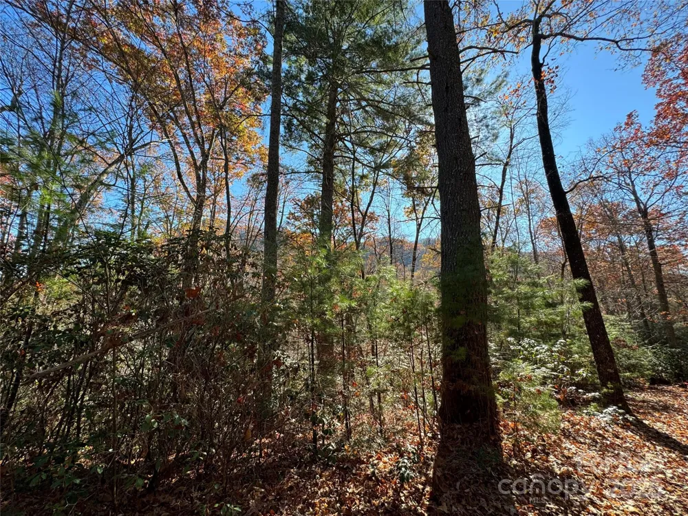 Site 5 Woodfen Lane Lake Lure, NC 28746
