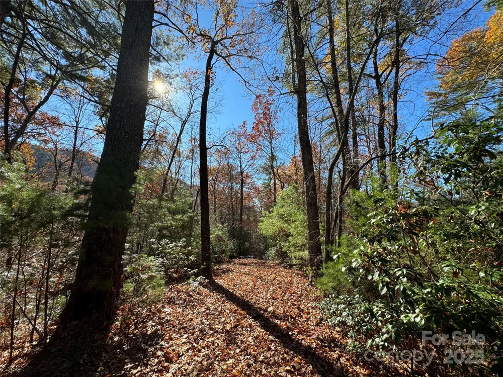 Site 5 Woodfen Lane Lake Lure, NC 28746