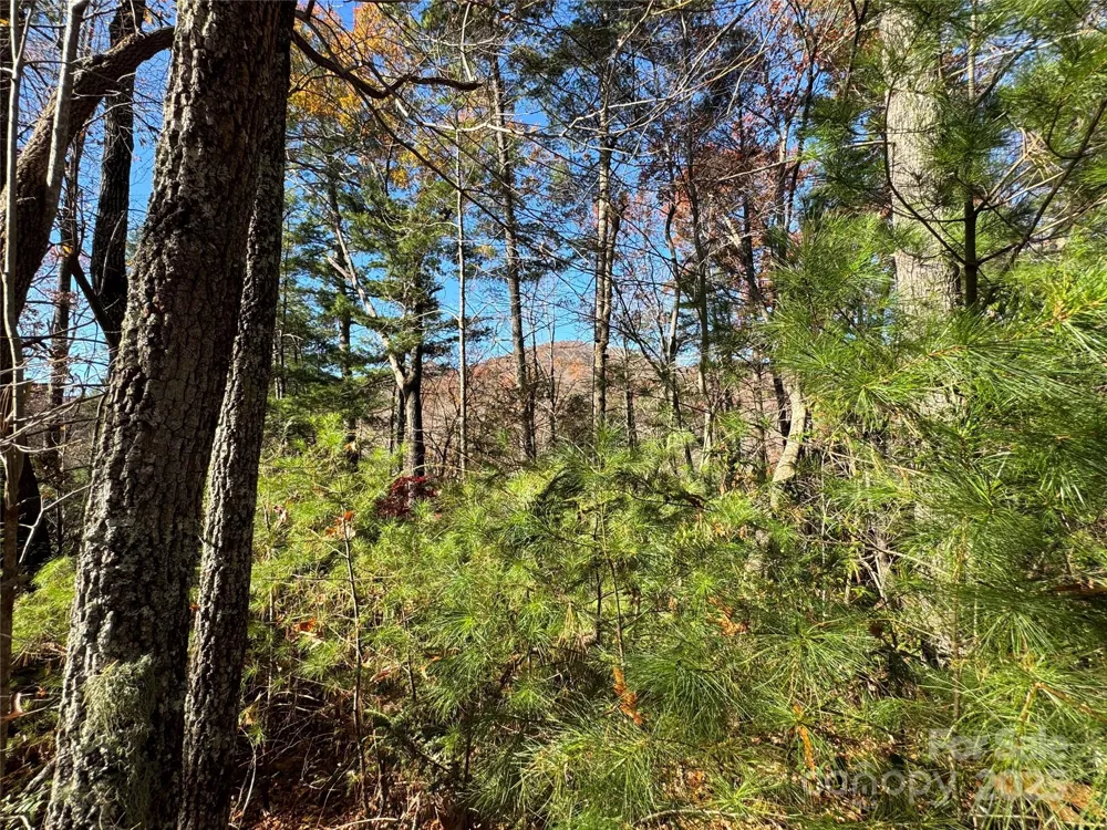 Site 5 Woodfen Lane Lake Lure, NC 28746