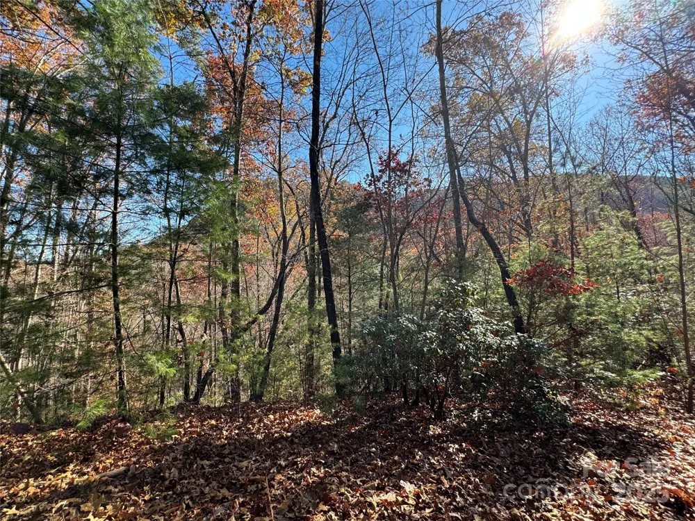 Site 5 Woodfen Lane Lake Lure, NC 28746