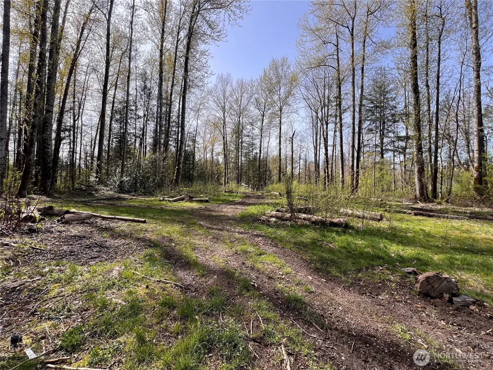 35 XXX Cumberland Way SE Enumclaw, WA 98022