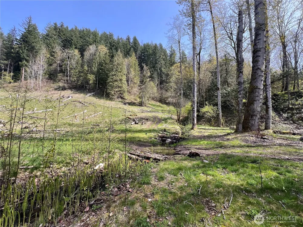 35 XXX Cumberland Way SE Enumclaw, WA 98022