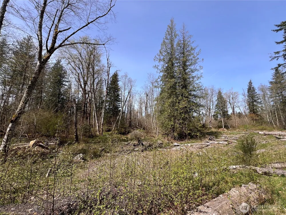 35 XXX Cumberland Way SE Enumclaw, WA 98022