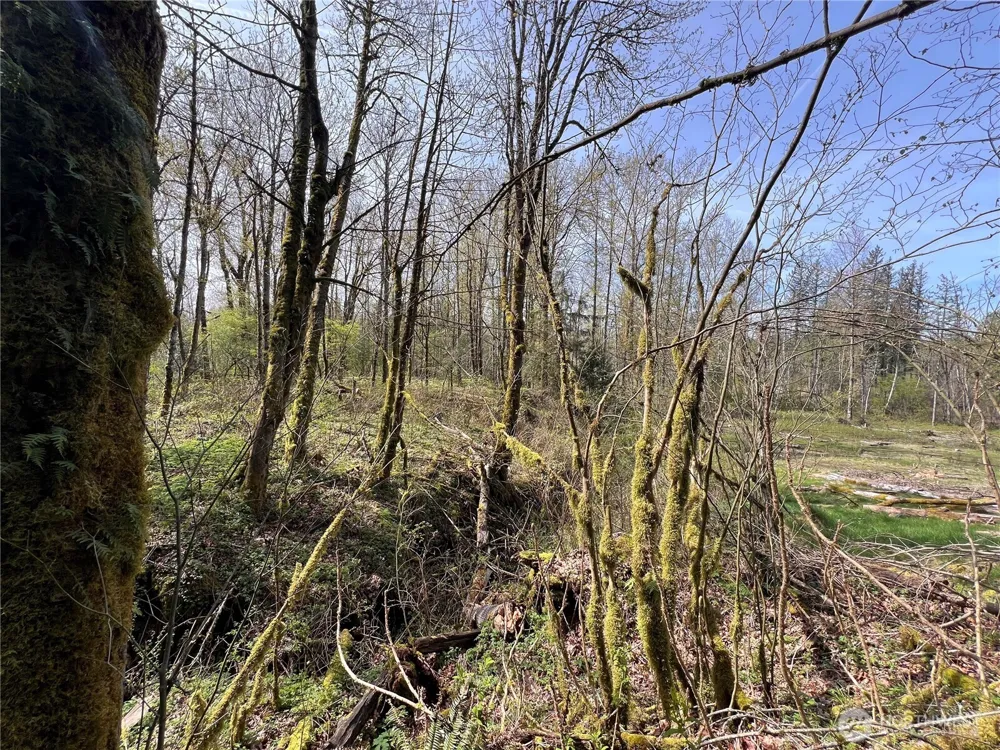 35 XXX Cumberland Way SE Enumclaw, WA 98022