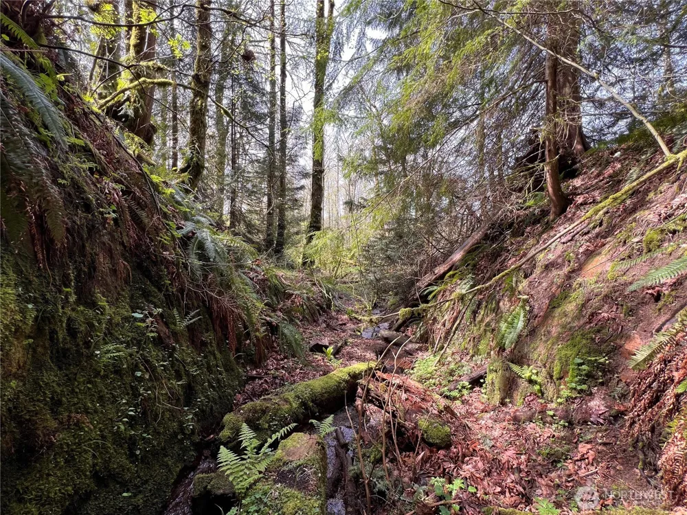 35 XXX Cumberland Way SE Enumclaw, WA 98022