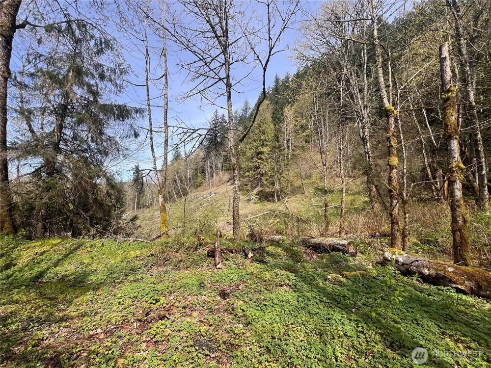 35 XXX Cumberland Way SE Enumclaw, WA 98022