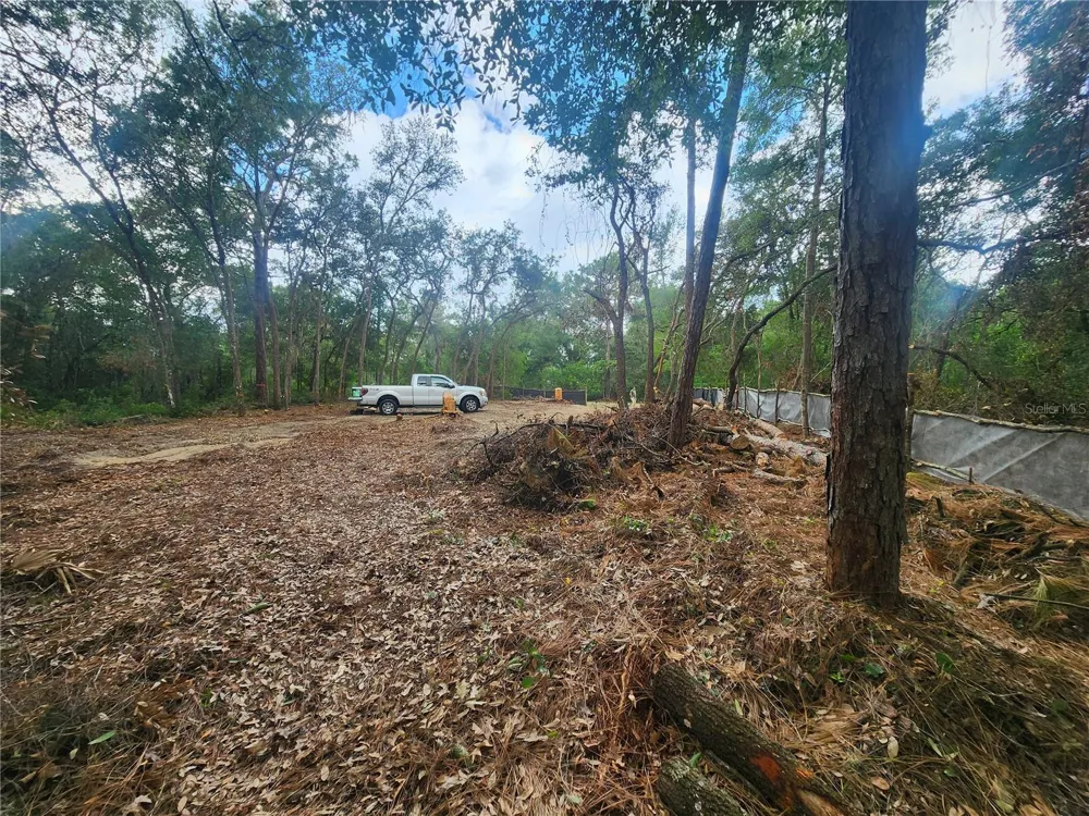 3919 E ORCHID STREET Hernando, FL 34442