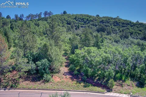 3195 Cedar Heights Drive