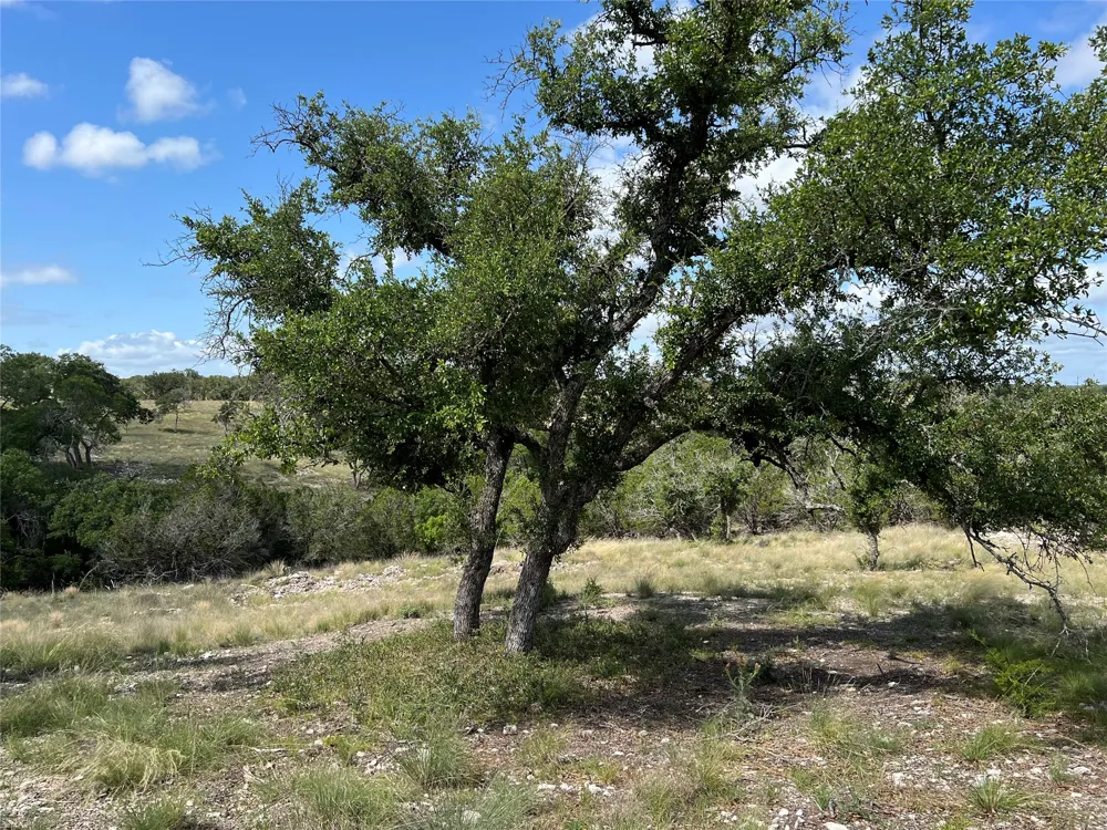 80 Seven Springs Ranch Junction, TX 78649