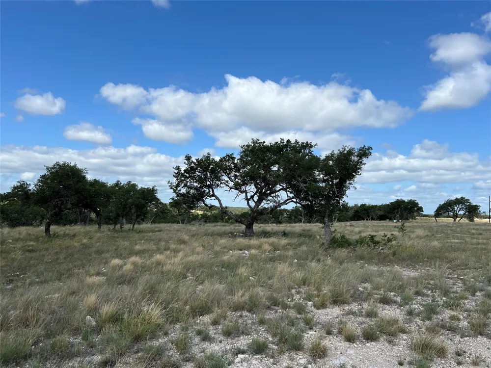 80 Seven Springs Ranch Junction, TX 78649
