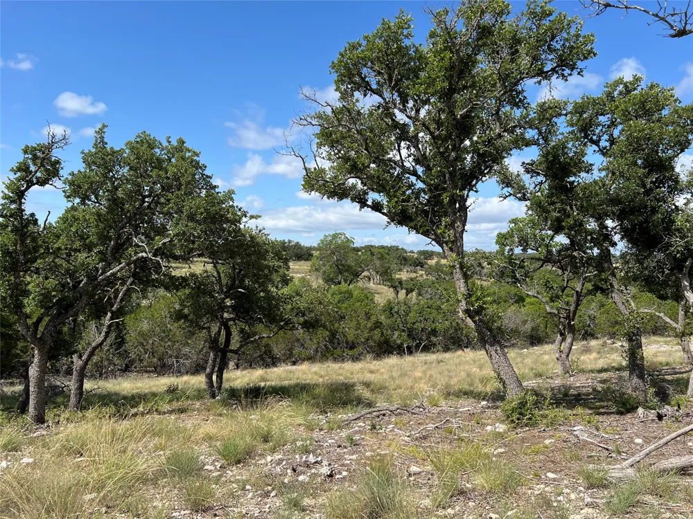 80 Seven Springs Ranch Junction, TX 78649