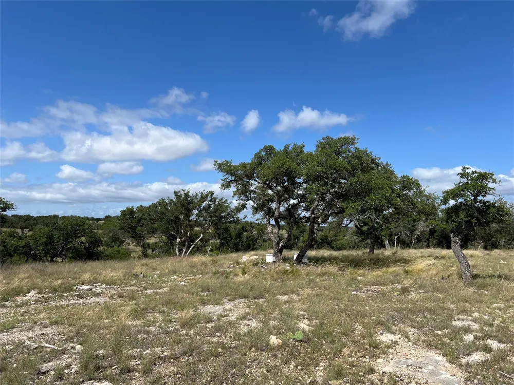 80 Seven Springs Ranch Junction, TX 78649
