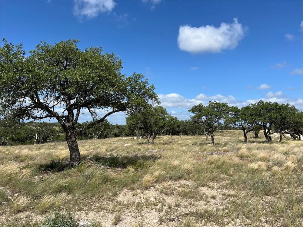 80 Seven Springs Ranch Junction, TX 78649