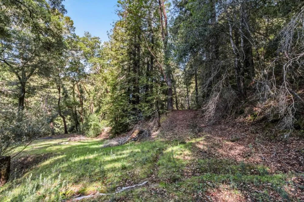 Desear Felton, CA 95018