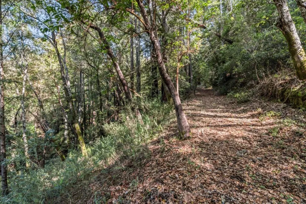 Desear Felton, CA 95018