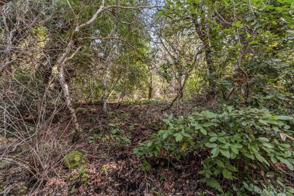 Lakeview Avenue Felton, CA 95018