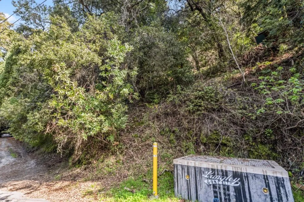 Lakeview Avenue Felton, CA 95018