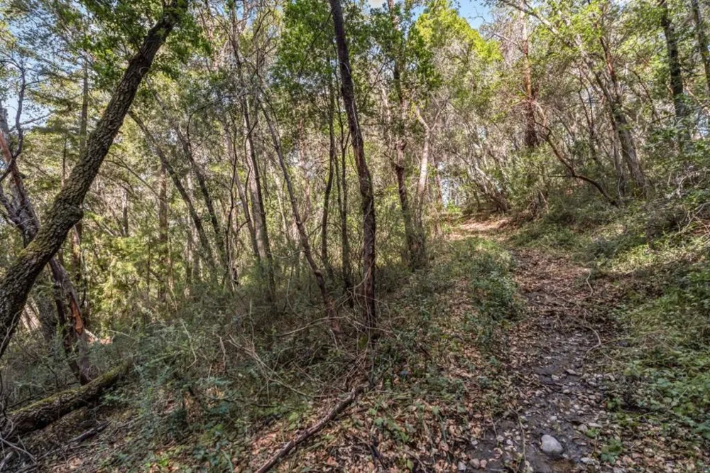 Madrone Avenue Felton, CA 95018