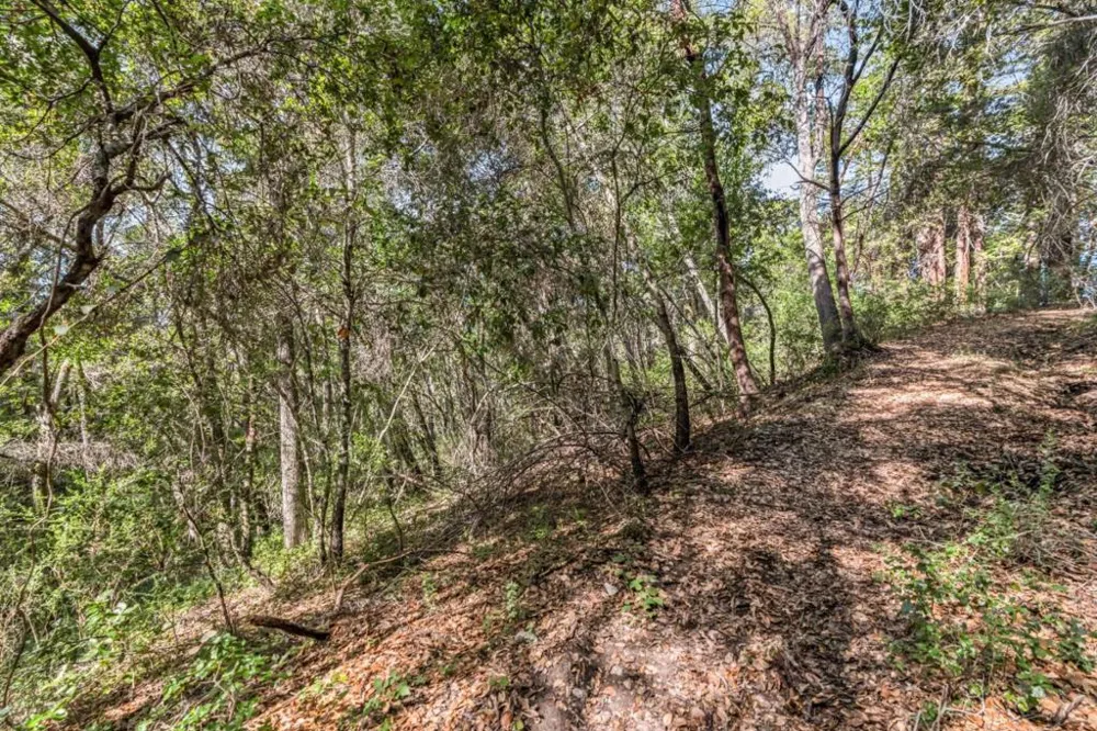 Madrone Avenue Felton, CA 95018