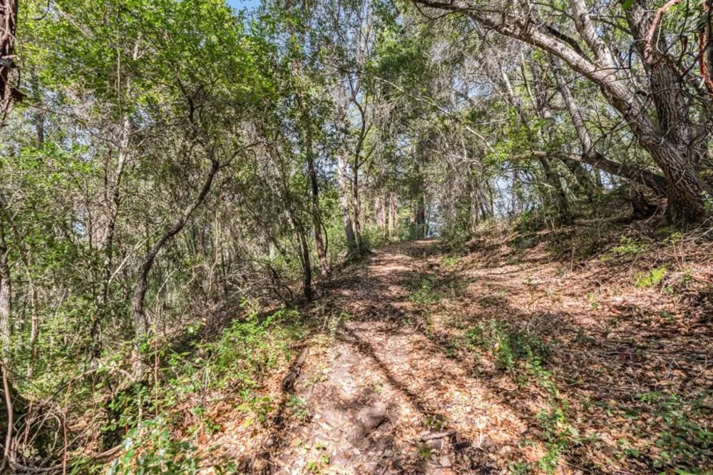 Madrone Avenue Felton, CA 95018