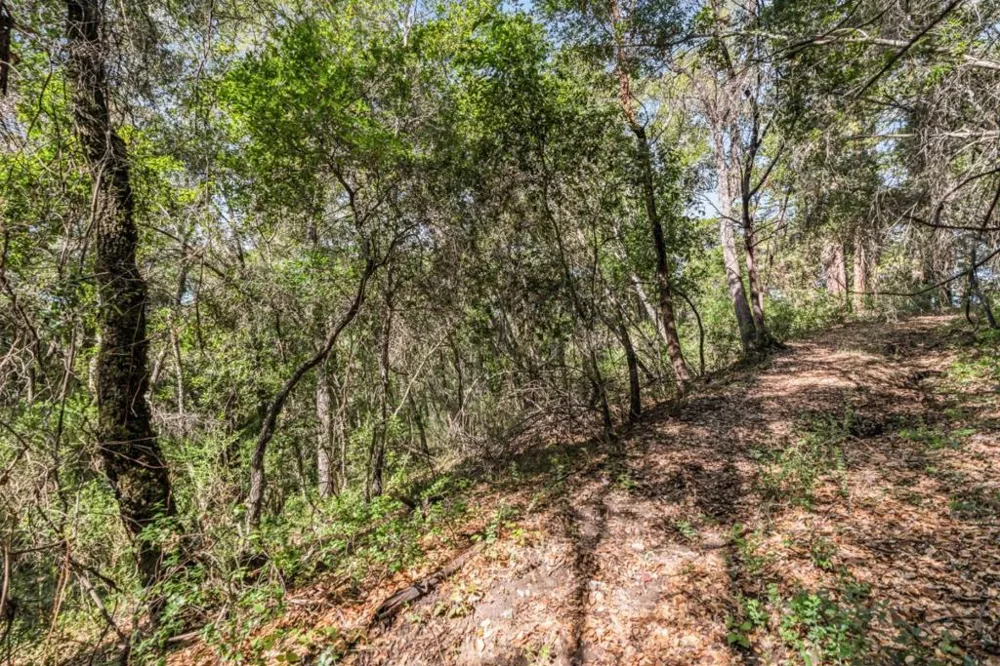 Madrone Avenue Felton, CA 95018