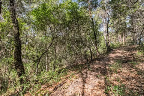 Madrone Avenue
