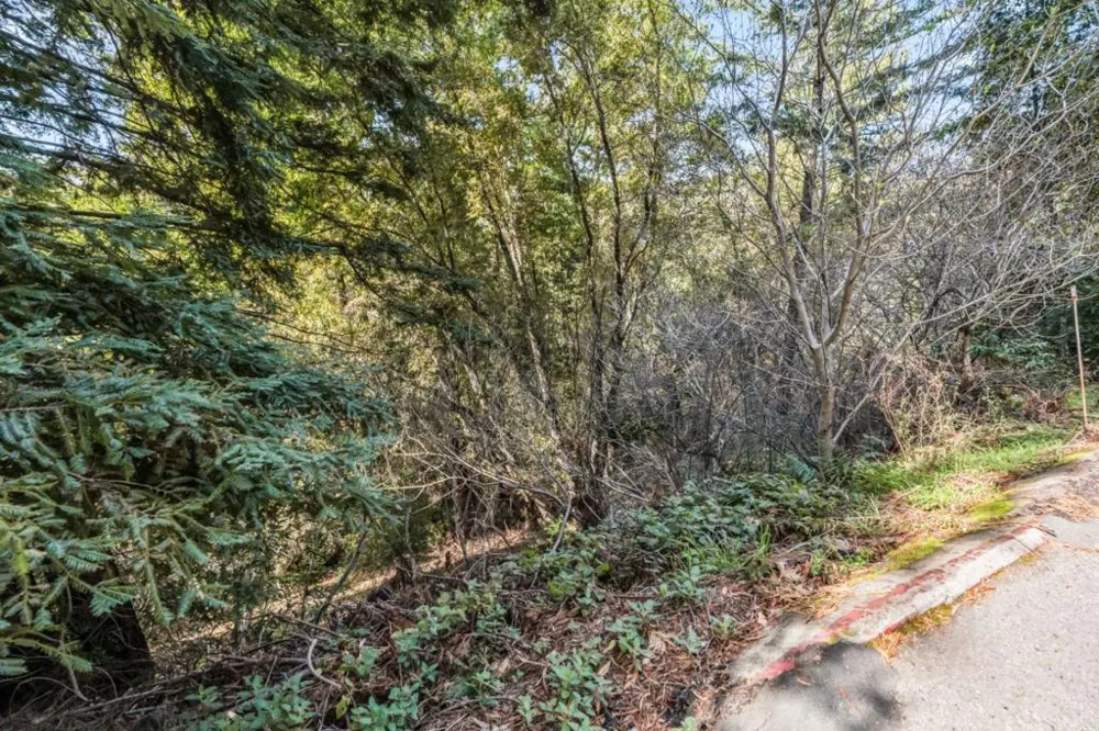 Lakeview Avenue Felton, CA 95018