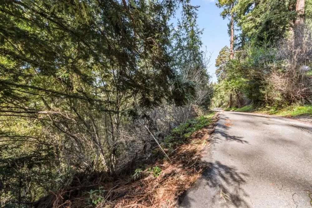 Lakeview Avenue Felton, CA 95018