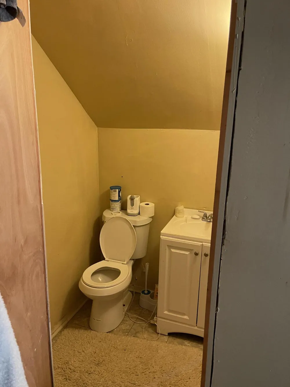 9352 Hartwell Street Detroit, MI 48228