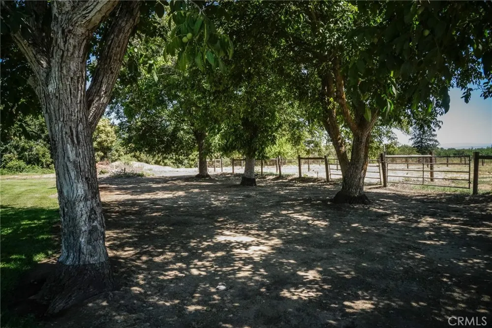 2787 Grape Way Chico, CA 95973
