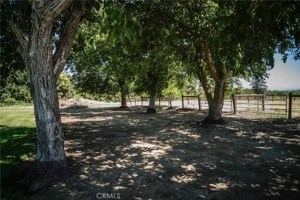 2787 Grape Way Chico, CA 95973