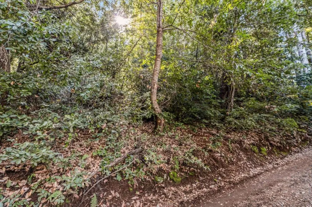 Vera Avenue Felton, CA 95018