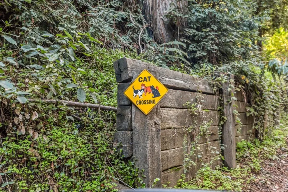 Volver Avenue Felton, CA 95018