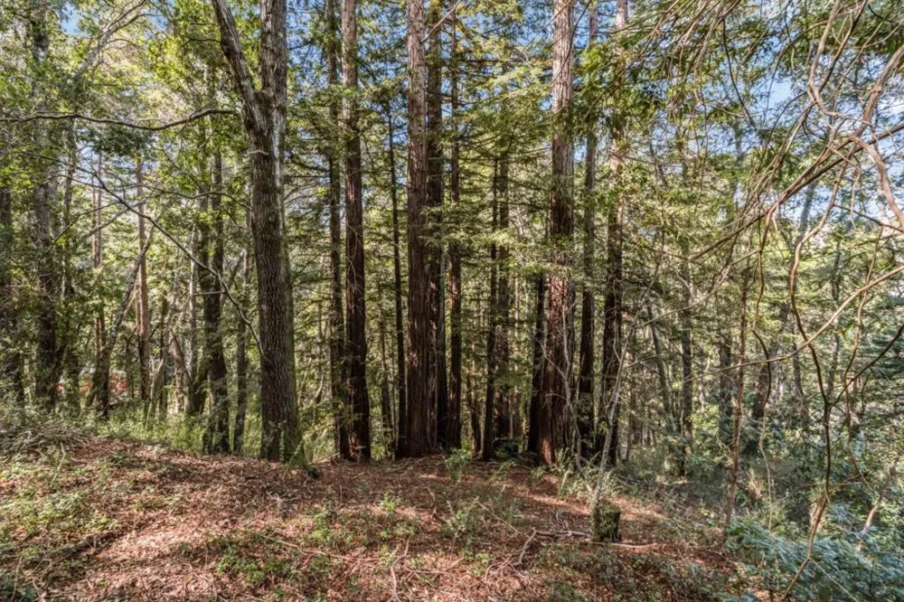 Volver Avenue Felton, CA 95018