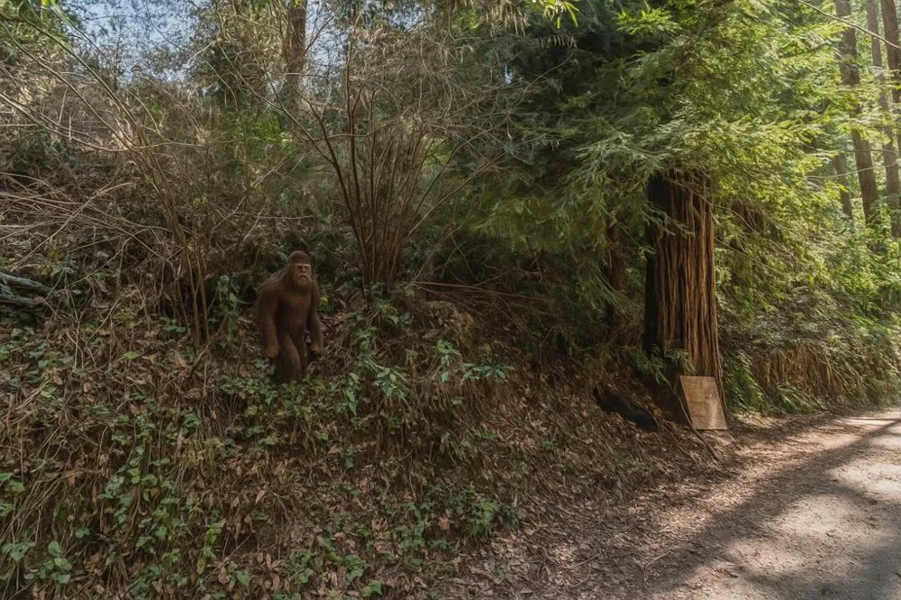La Lena Street Felton, CA 95018