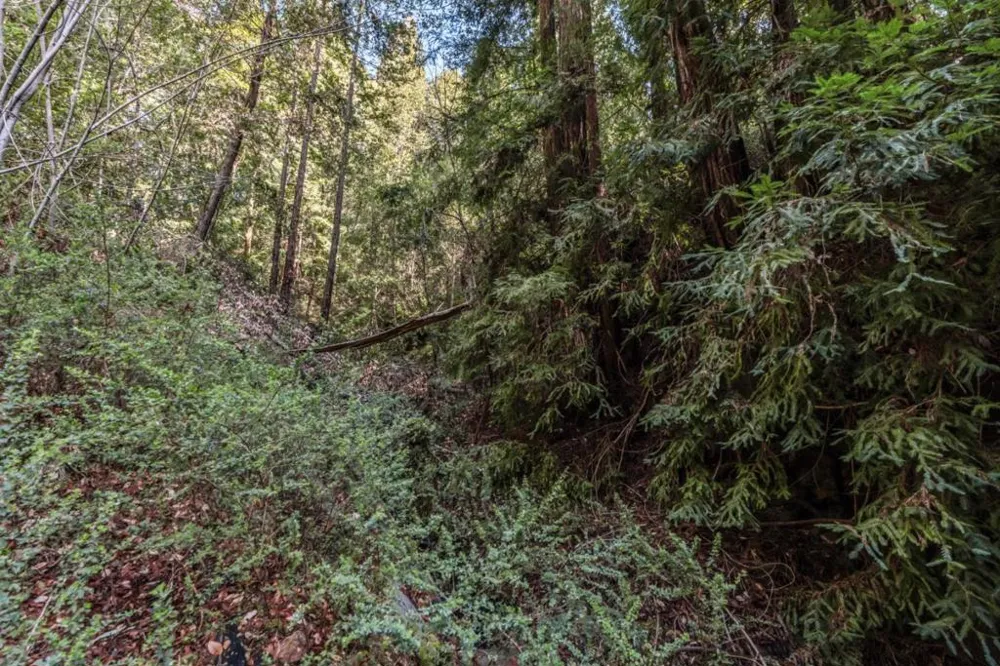 Antler Street Felton, CA 95018