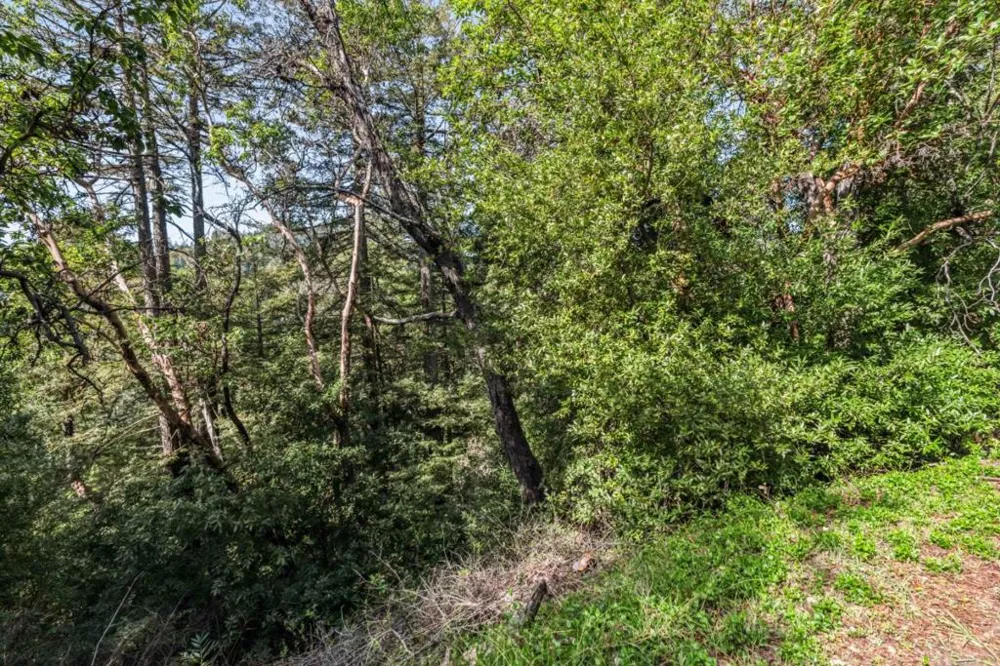 Lake Blvd and Lot 38 Lakeview Felton, CA 95018
