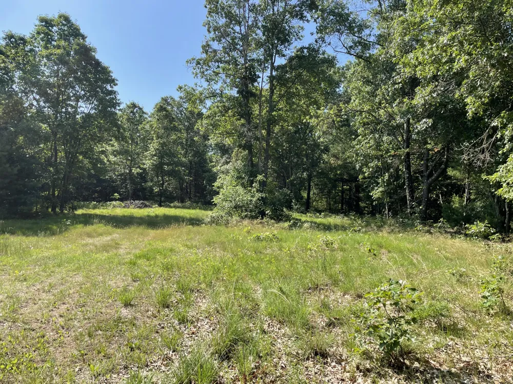 Ewing Road Holton, MI 49425