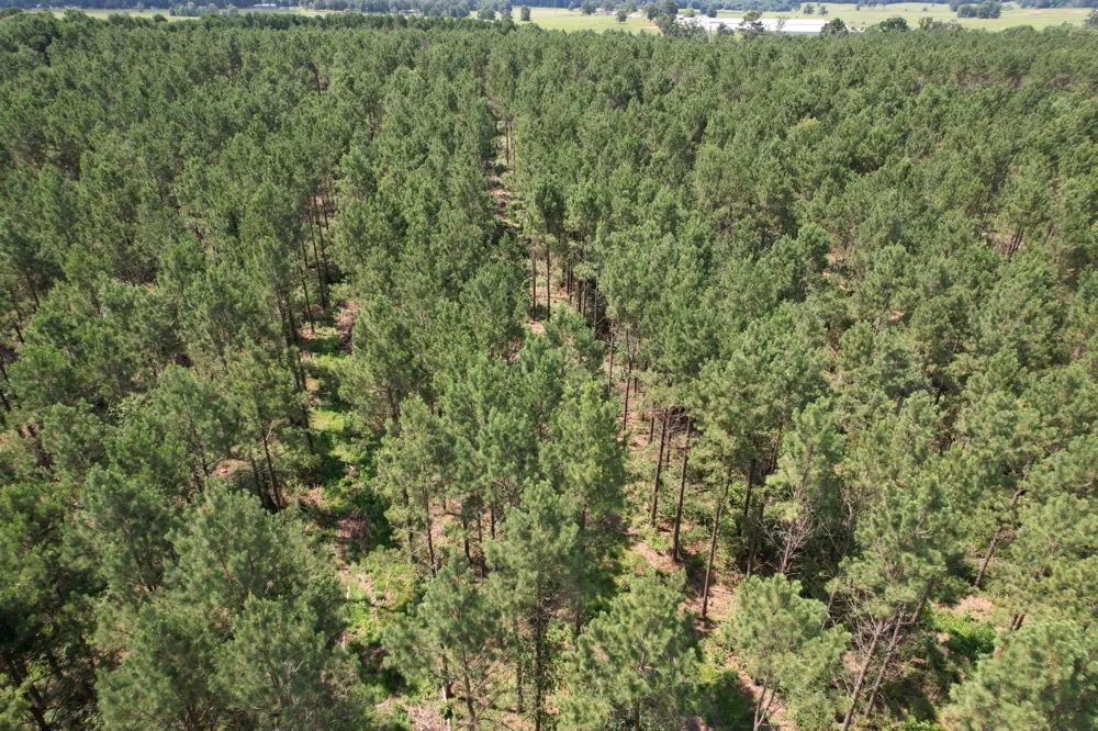County Road 3706 Tenaha, TX 75974