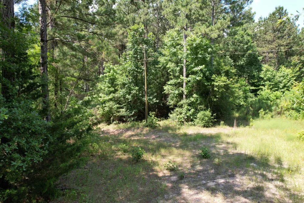County Road 3706 Tenaha, TX 75974