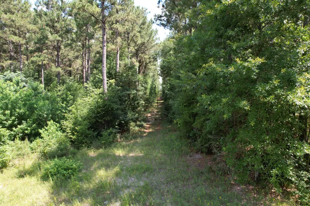 County Road 3706 Tenaha, TX 75974