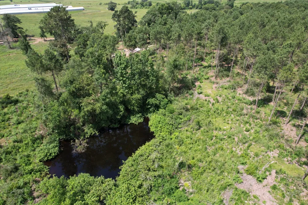 County Road 3706 Tenaha, TX 75974