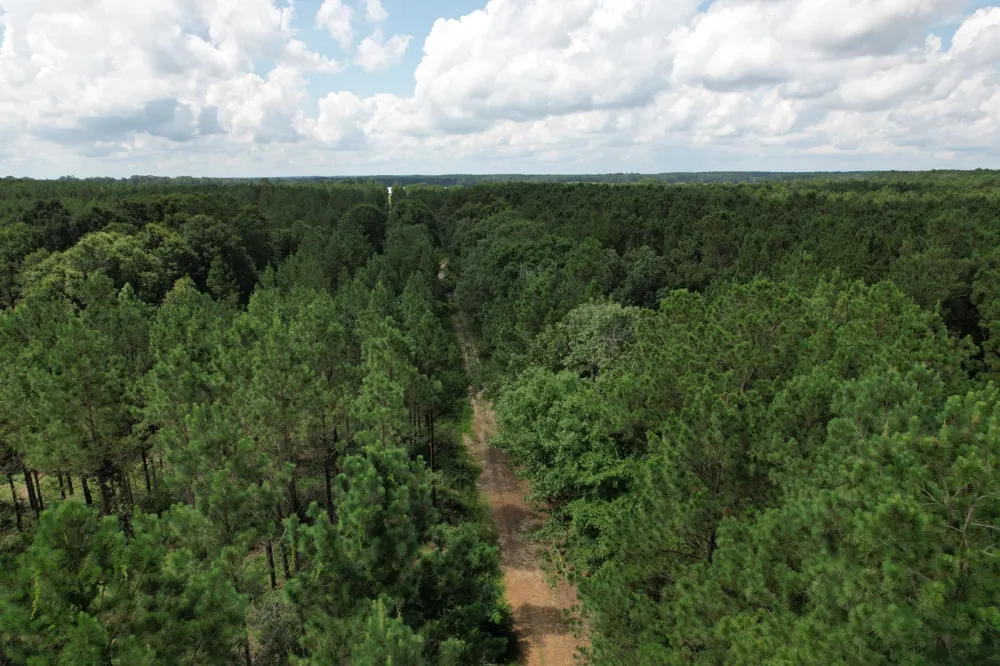 County Road 3706 Tenaha, TX 75974