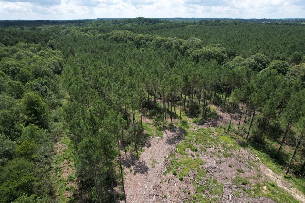 County Road 3706 Tenaha, TX 75974